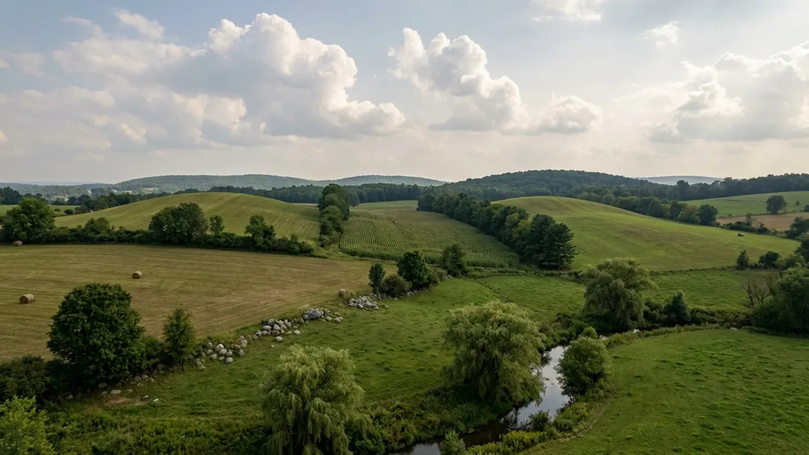 Smooth glacial drumlin hills in Central New York hayfields and dairy pasture, with maple hedgerows and a fieldstone row.